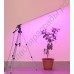 LED светильник для растений на штативе "Везен"